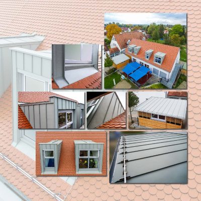 Collage-Gaube2021_web